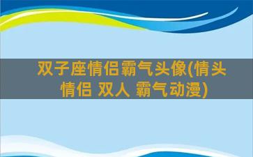 双子座情侣霸气头像(情头 情侣 双人 霸气动漫)